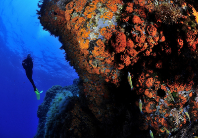 Agenzia/operatore Turistico Diving Center Mister Jump